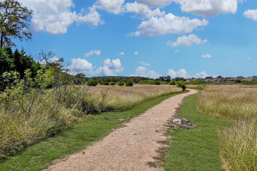217 Inca Dove Lane Leander, TX 78641 - Photo 40 of 40 a view of a lake with houses in the back