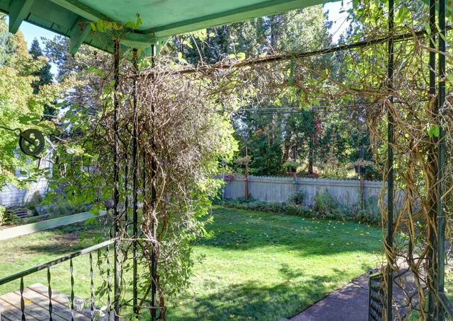 a view of yard from a outdoor space
