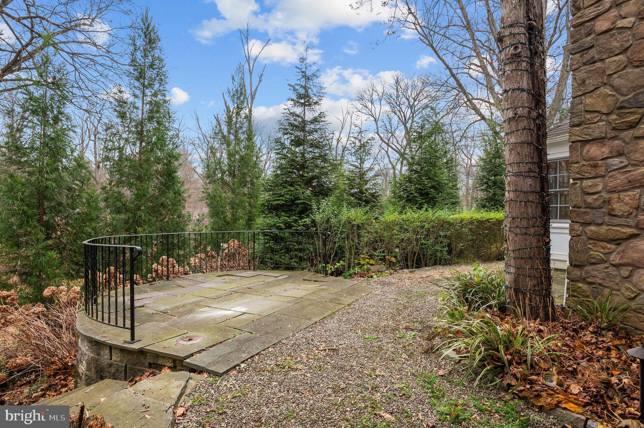 150 Biddulph Road Wayne, PA 19087 - Photo 53 of 57 Rear Patio
