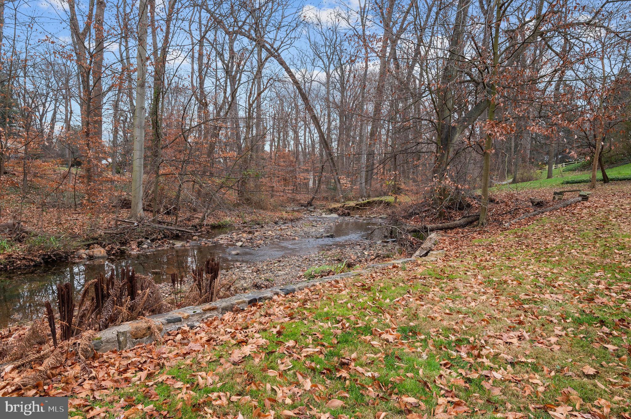 150 Biddulph Road Wayne, PA 19087 - Photo 57 of 57 Picturesque Creek