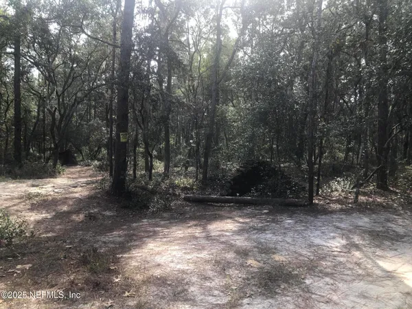 a view of outdoor space with trees
