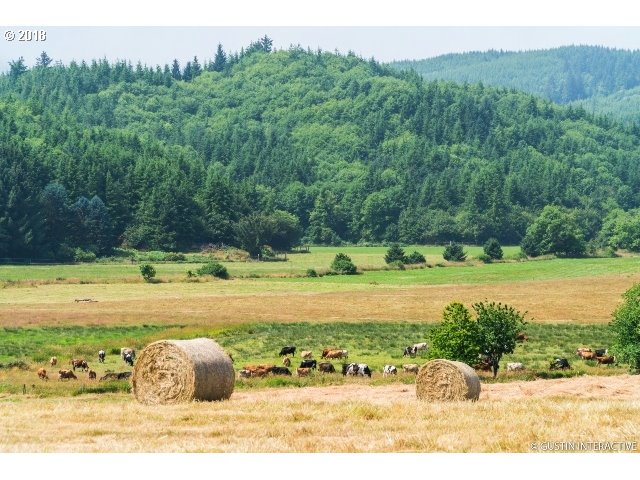 360 Eckloff Road Tillamook, OR 97141 - Photo 3 of 31