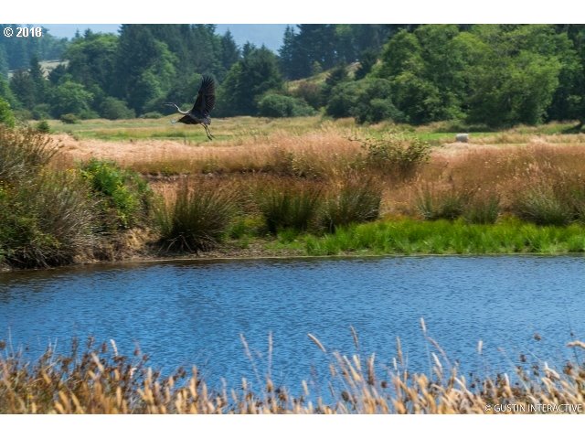 360 Eckloff Road Tillamook, OR 97141 - Photo 7 of 31