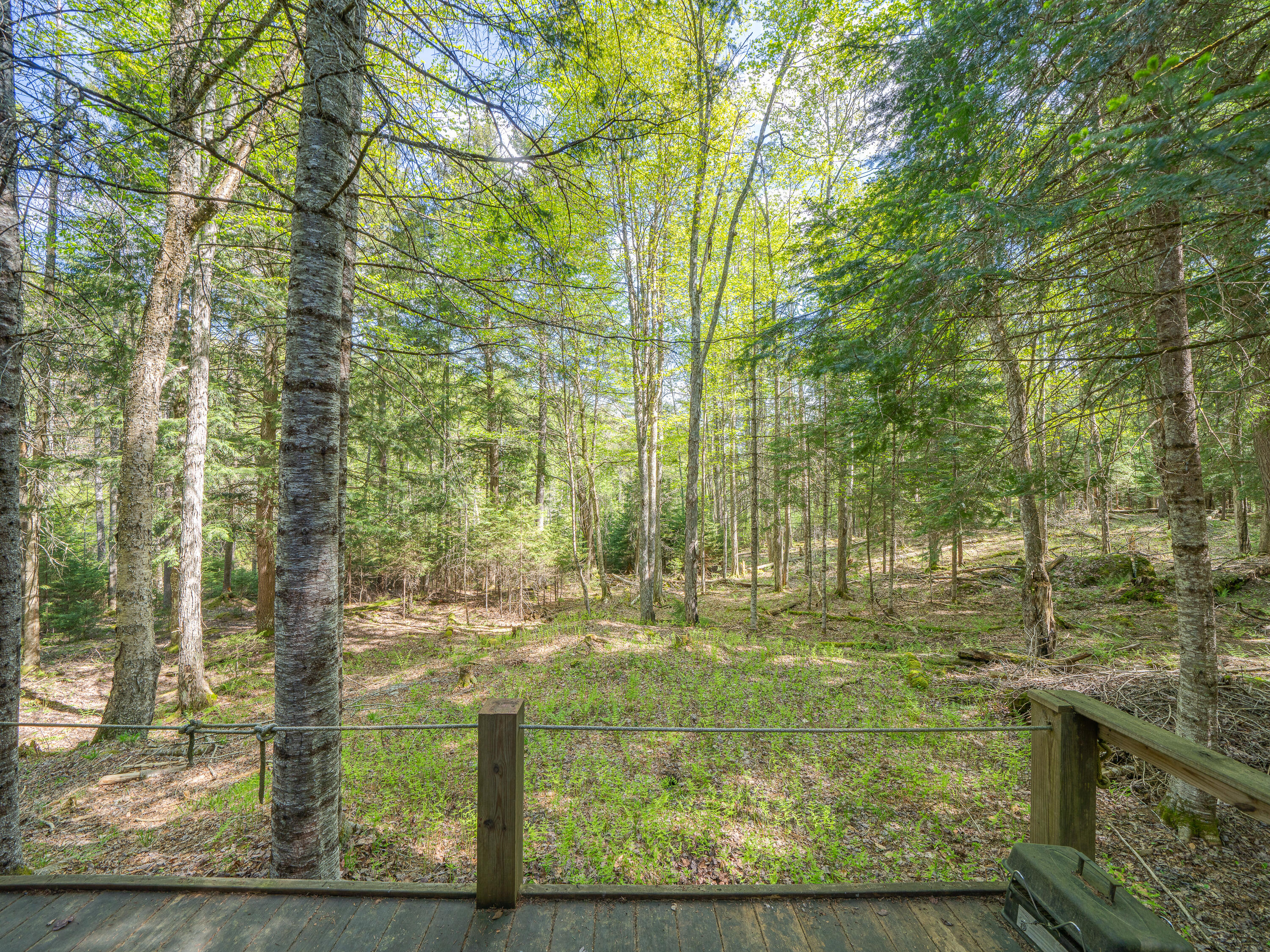 2401 North Point Road Long Lake, NY 12847 - Photo 28 of 39 D3C0D282-50BC-4A88-9634-4B1B412D6335