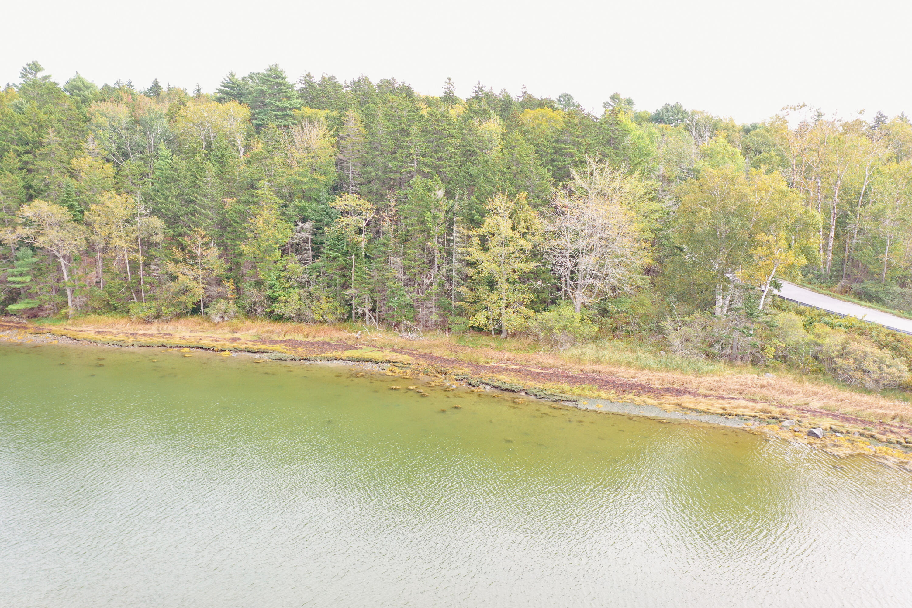 4 Turkey Cove Road Tenants Harbor, ME 04860 - Photo 5 of 15 Turkey Cove Road Land