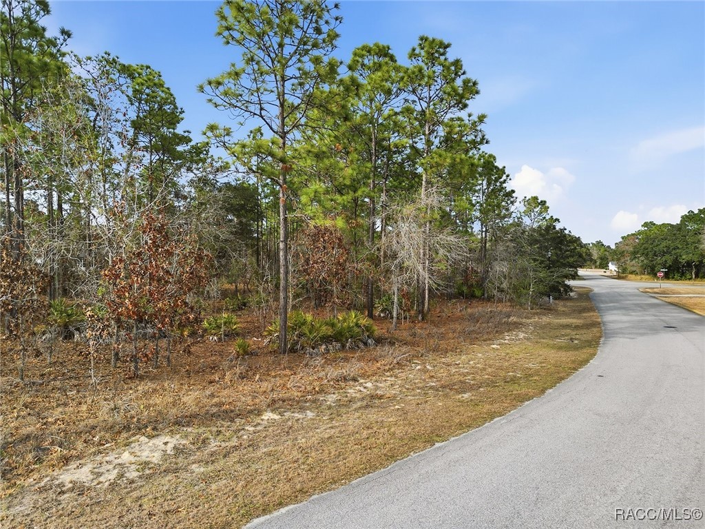 2 Nephthytis Court Homosassa, FL 34446 - Photo 5 of 21