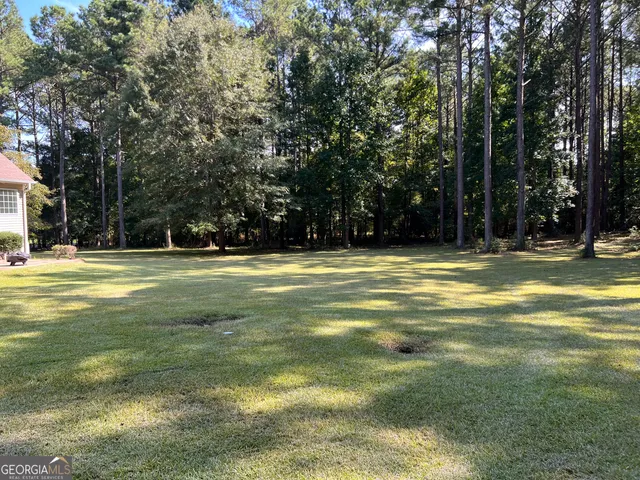 a view of a swimming pool with a big yard and large trees