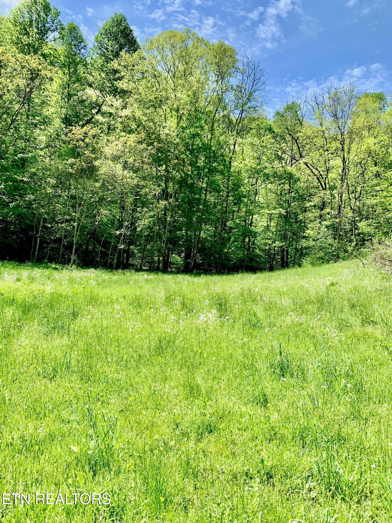 1088 Jones Ridge Road Speedwell, TN 37870 - Photo 49 of 53 12