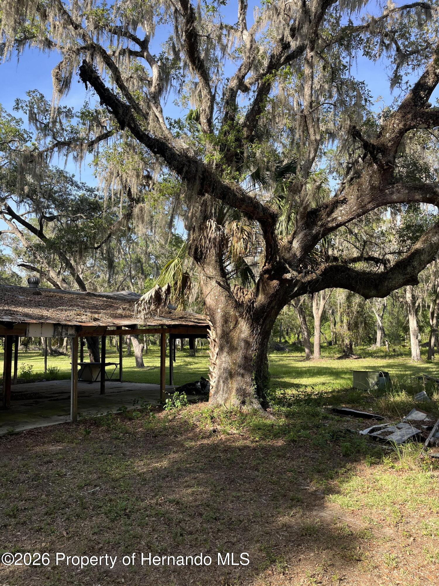 16305 Wiscon Road Brooksville, FL 34601 - Photo 7 of 33 Gallery Image 7