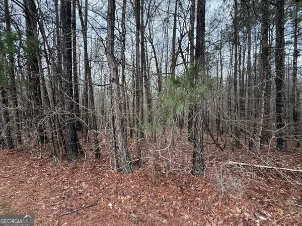 $90,000 | 0 Cheryl Street, Unit LOTS 37 38 39, Luthersville, GA 30251