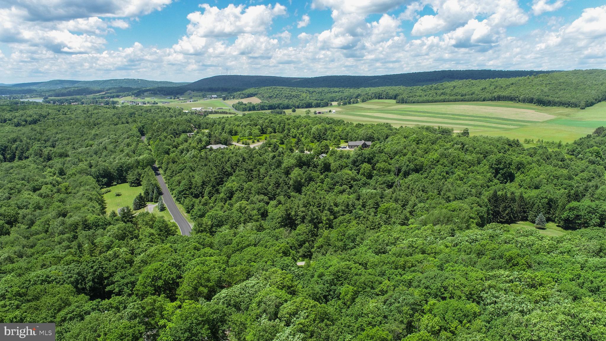 North Glade Road Swanton, MD 21561 - Photo 6 of 16