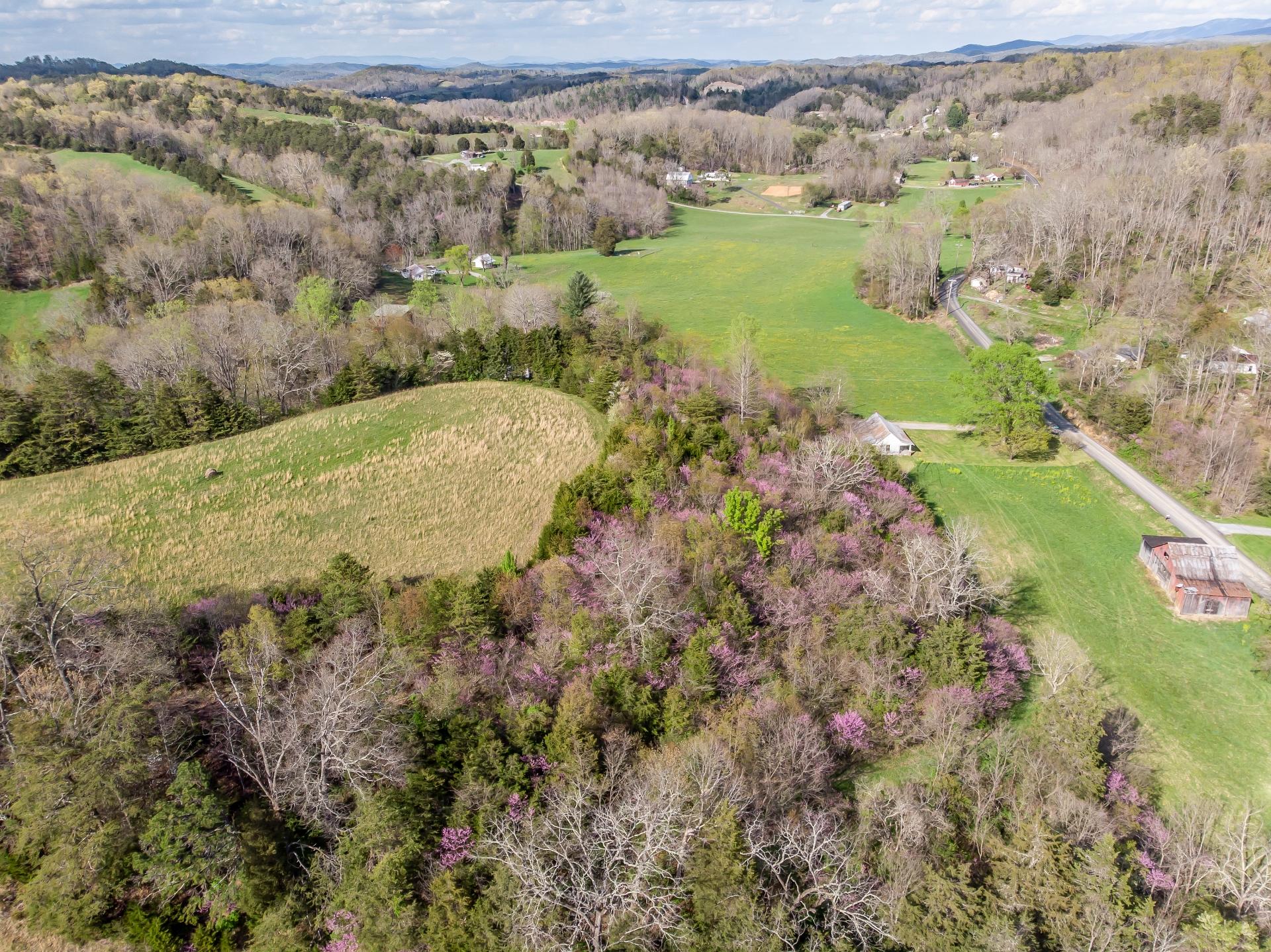 309 Rock Hill Road Watauga, TN 37694 - Photo 13 of 55 309RockHillW_096