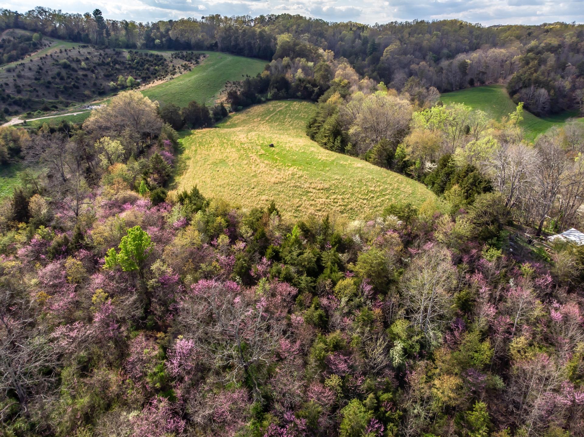 309 Rock Hill Road Watauga, TN 37694 - Photo 15 of 55 309RockHillW_087