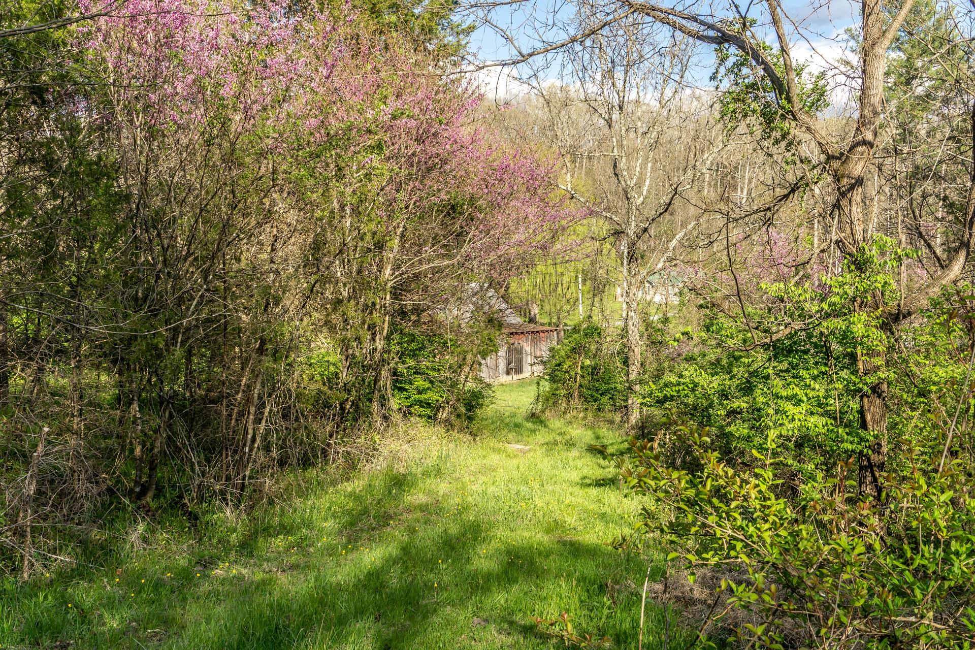 309 Rock Hill Road Watauga, TN 37694 - Photo 19 of 55 309RockHillW_068