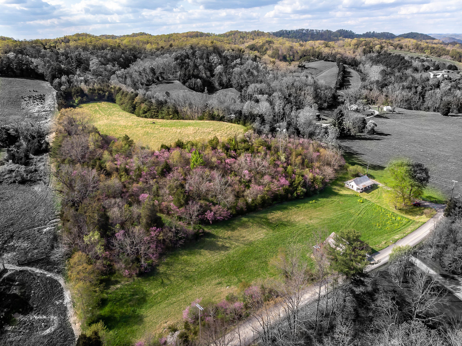 309 Rock Hill Road Watauga, TN 37694 - Photo 2 of 55 DSC06523-baeri2