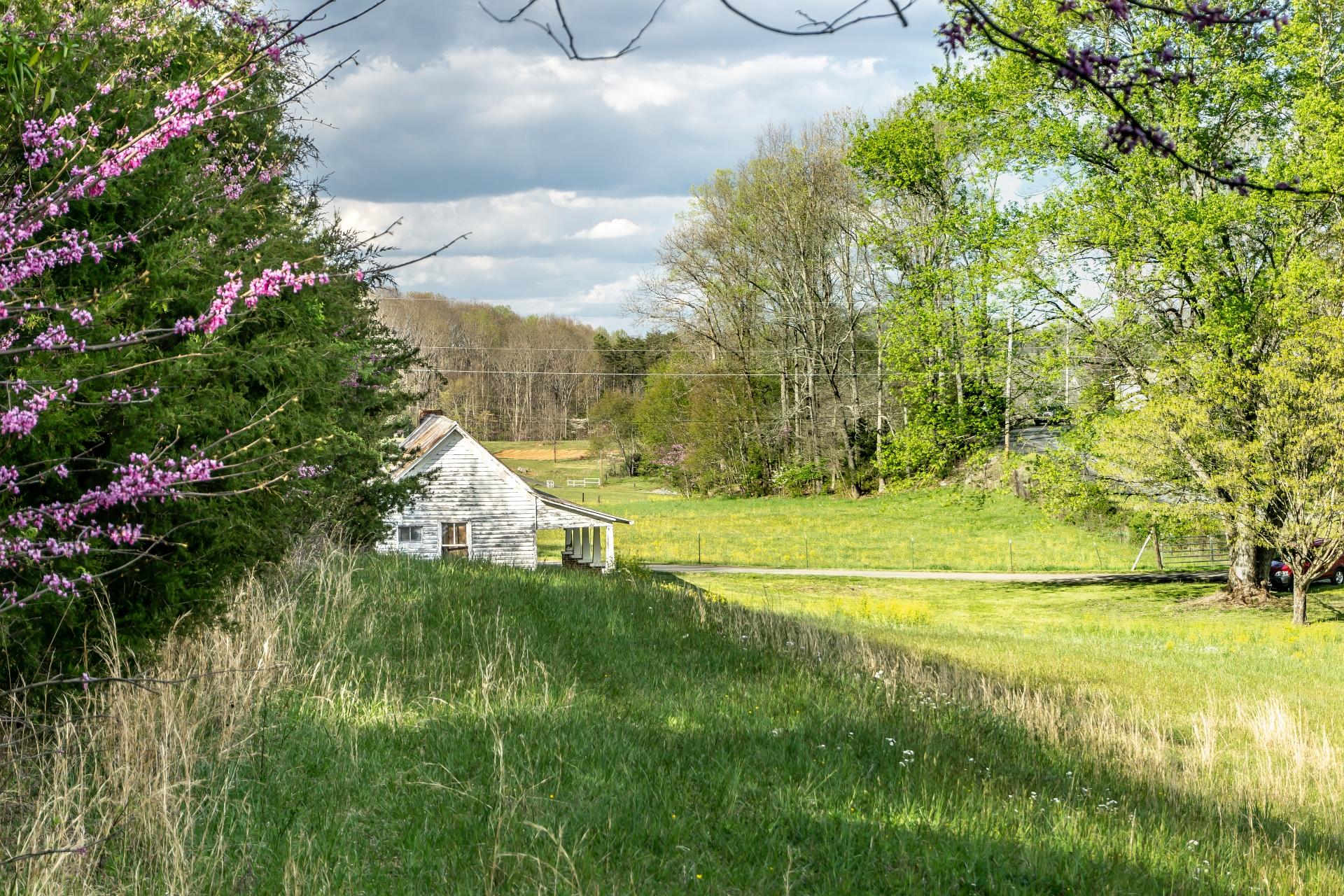 309 Rock Hill Road Watauga, TN 37694 - Photo 21 of 55 309RockHillW_070