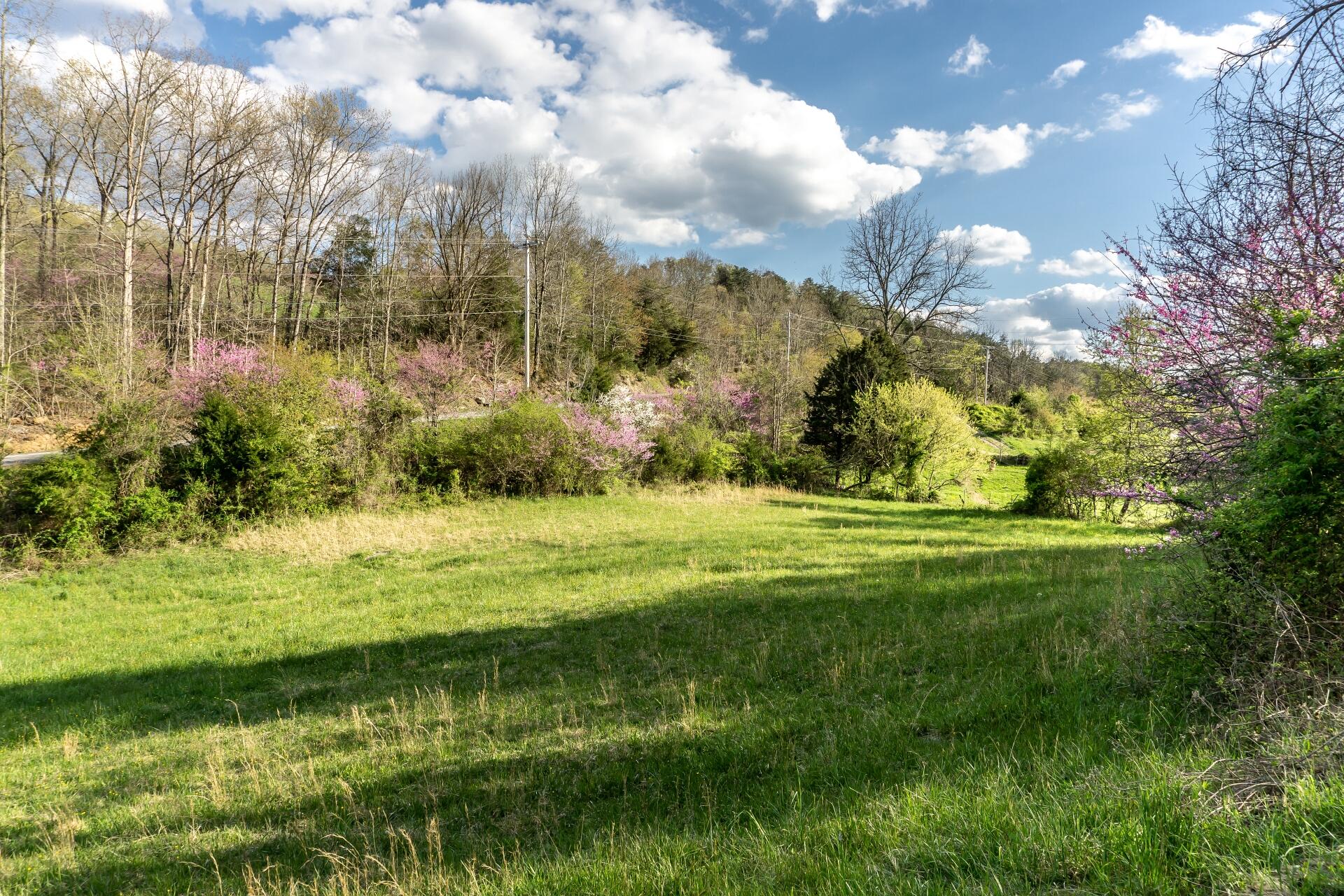 309 Rock Hill Road Watauga, TN 37694 - Photo 23 of 55 309RockHillW_071