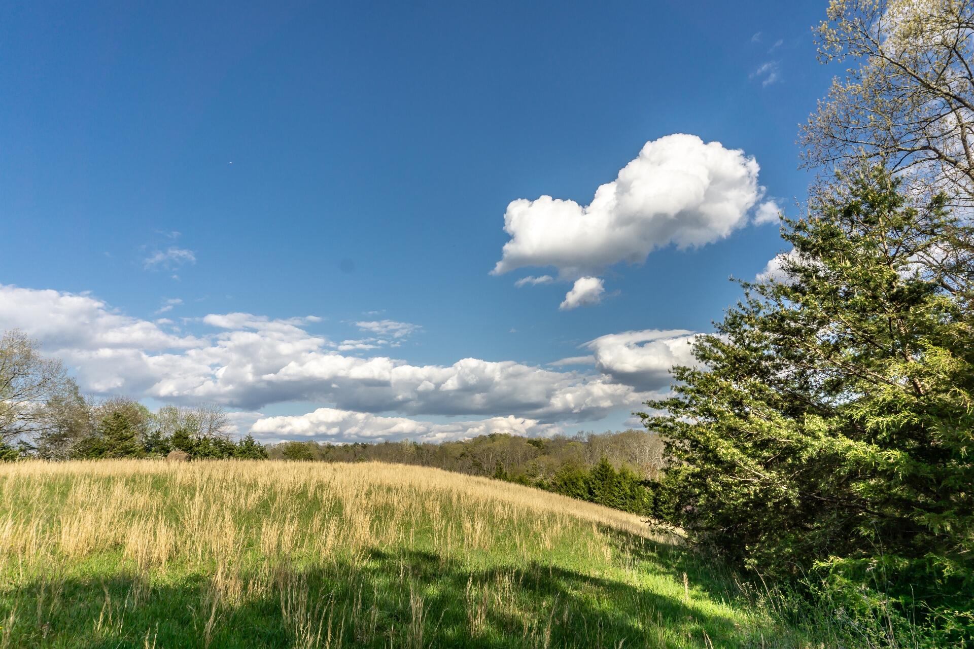 309 Rock Hill Road Watauga, TN 37694 - Photo 29 of 55 309RockHillW_051