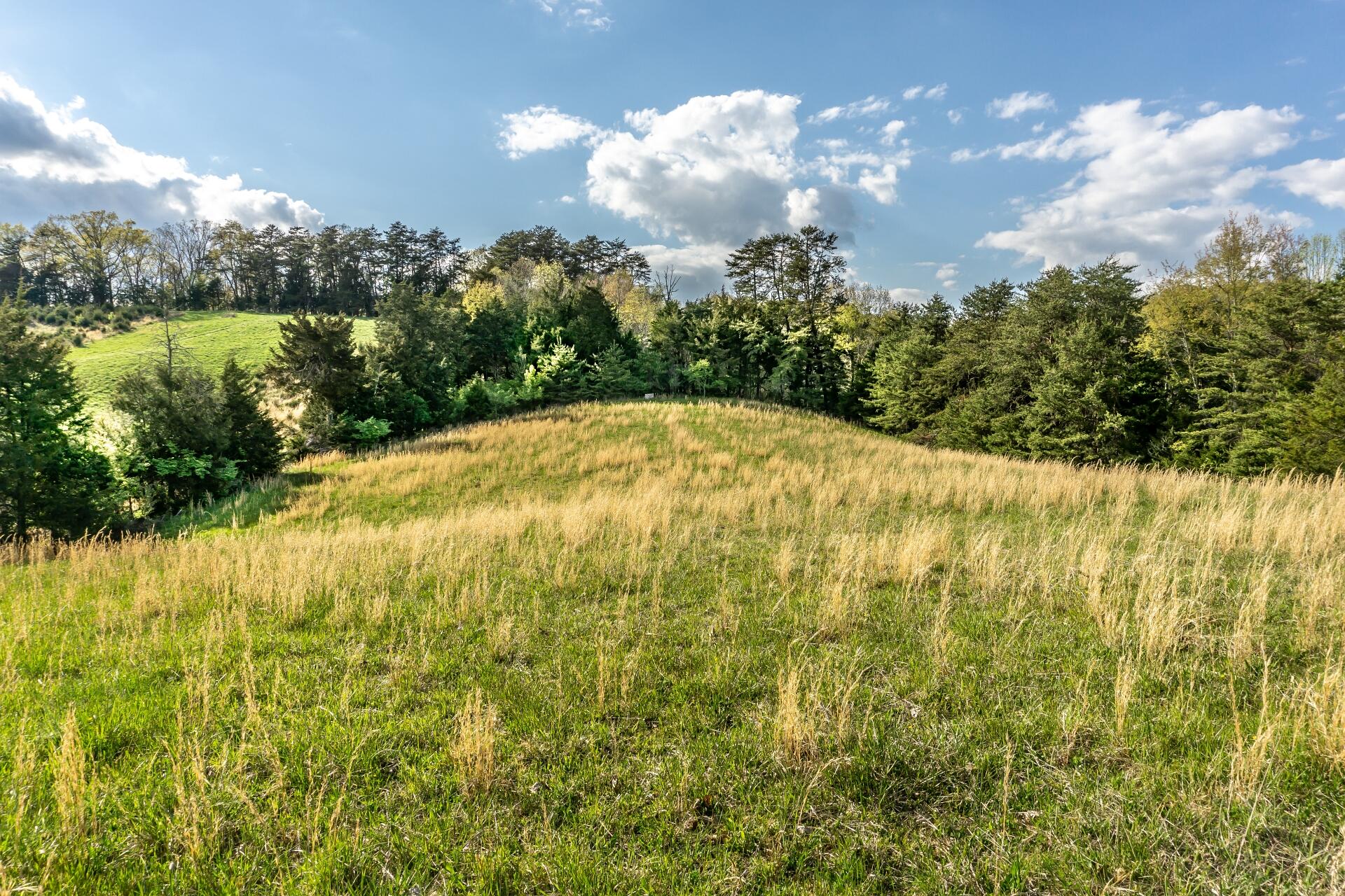 309 Rock Hill Road Watauga, TN 37694 - Photo 30 of 55 309RockHillW_052