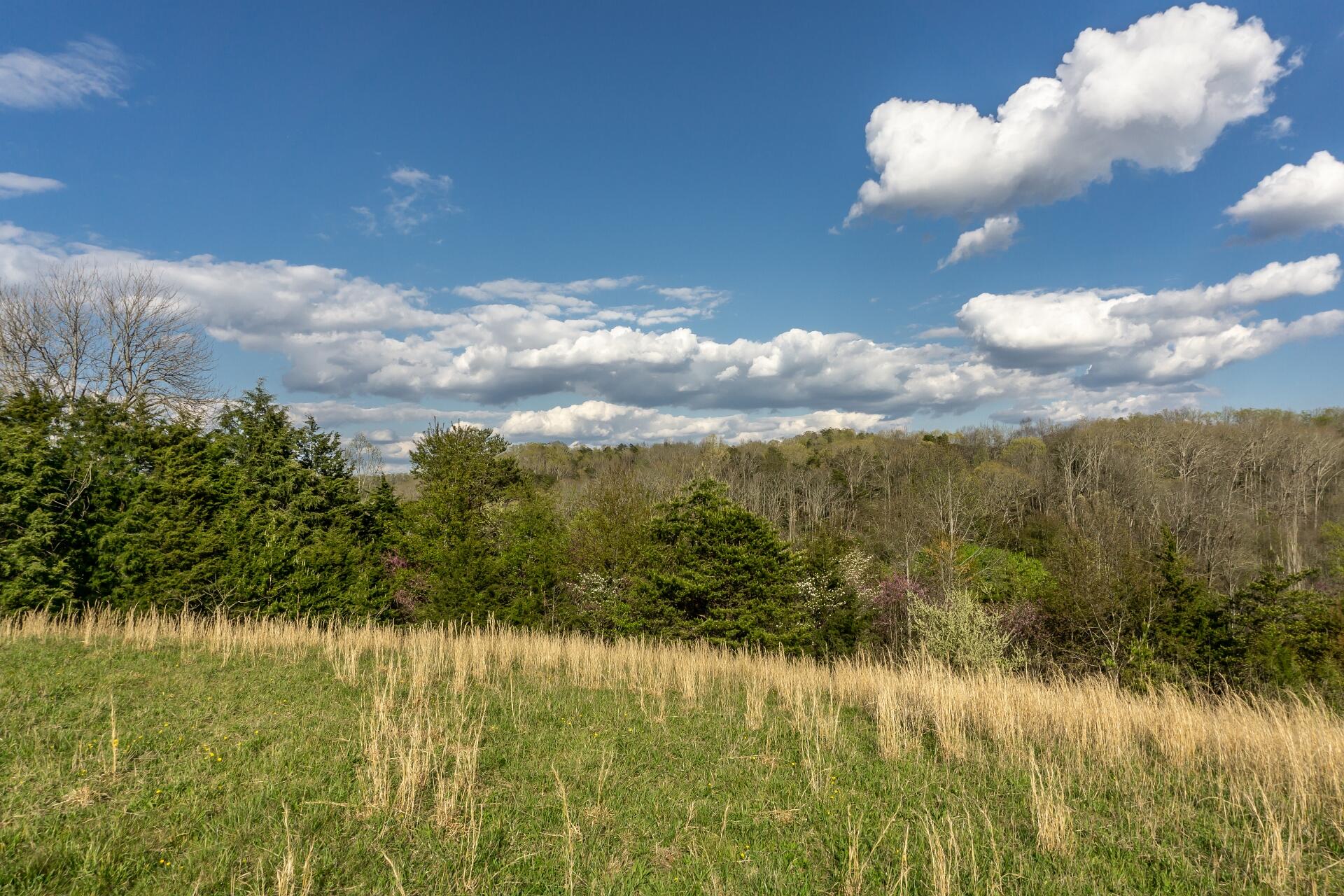 309 Rock Hill Road Watauga, TN 37694 - Photo 32 of 55 309RockHillW_056