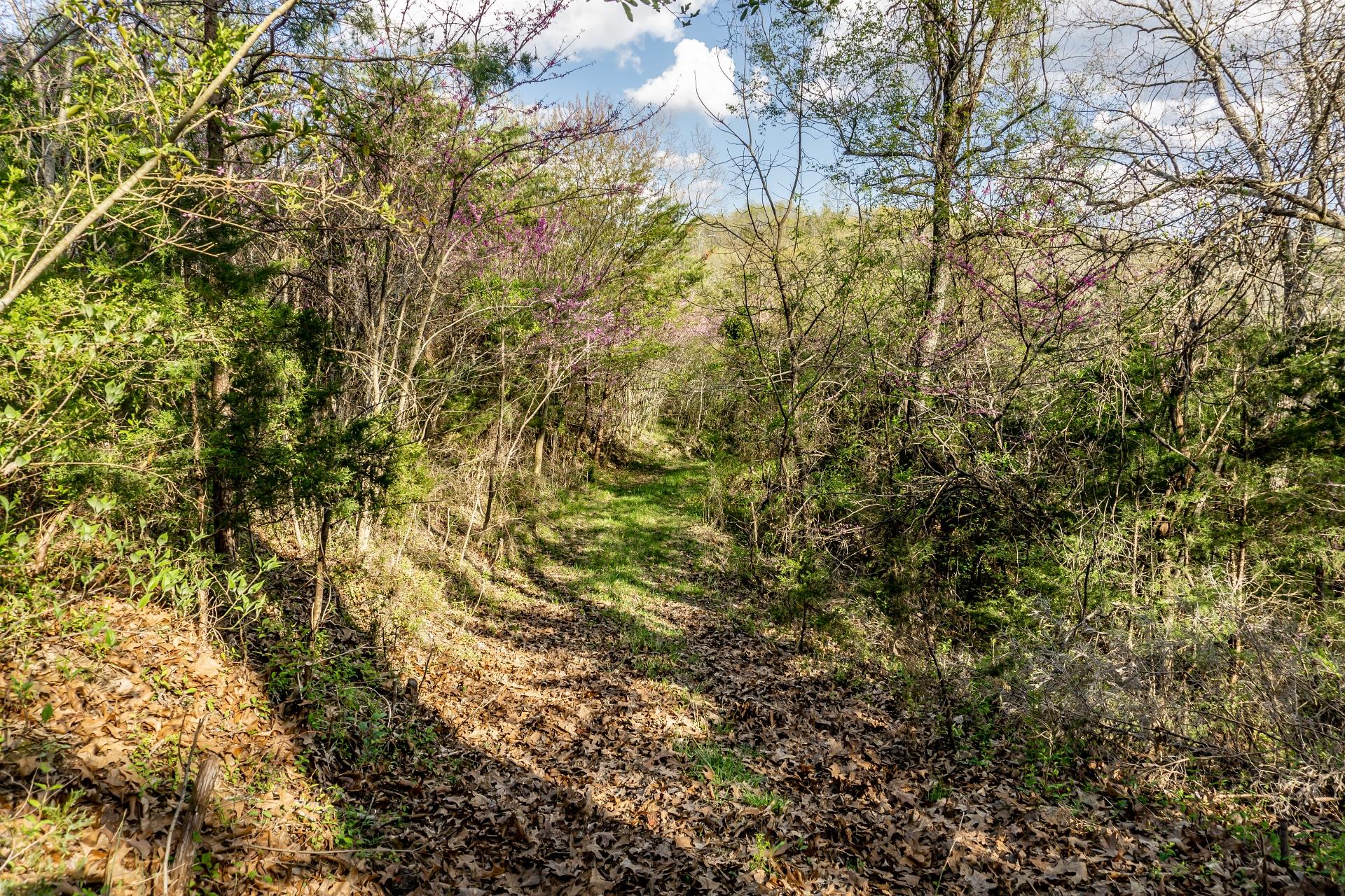 309 Rock Hill Road Watauga, TN 37694 - Photo 34 of 55 309RockHillW_060