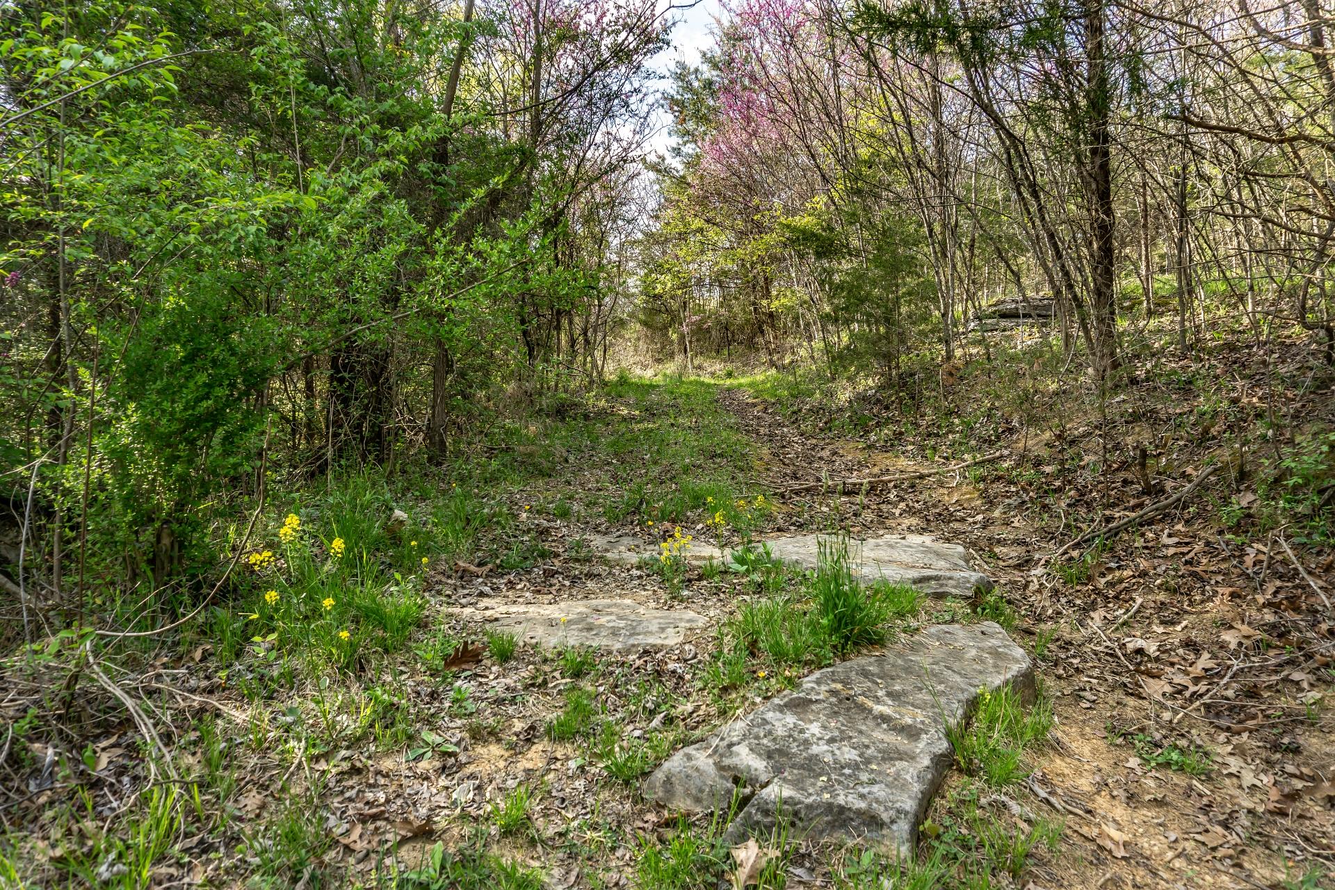 309 Rock Hill Road Watauga, TN 37694 - Photo 35 of 55 309RockHillW_063