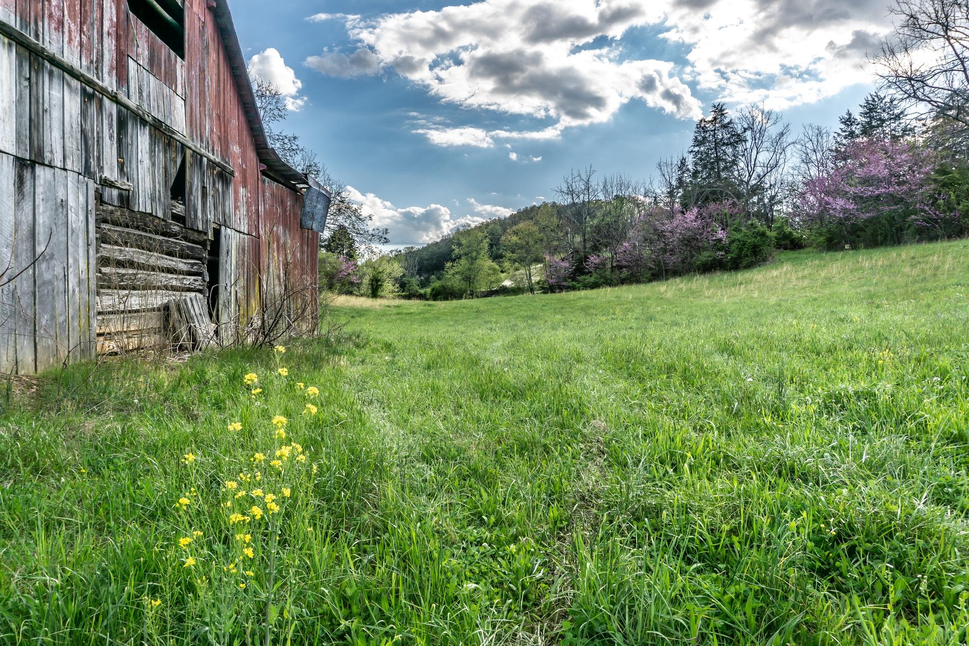 309 Rock Hill Road Watauga, TN 37694 - Photo 55 of 55 309RockHillW_020