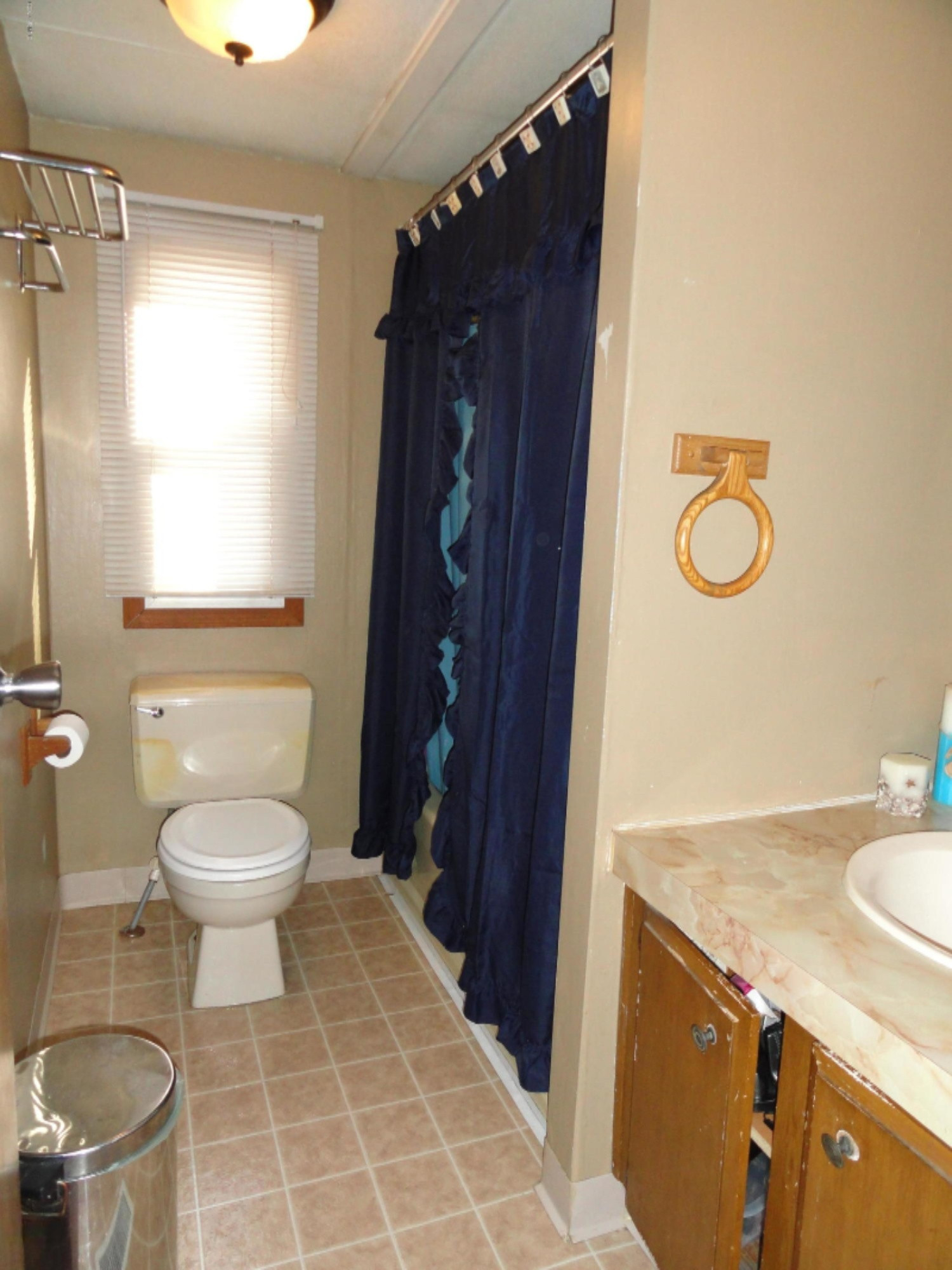 8240 Centerline Road Saranac, MI 48881 - Photo 17 of 17 Bath