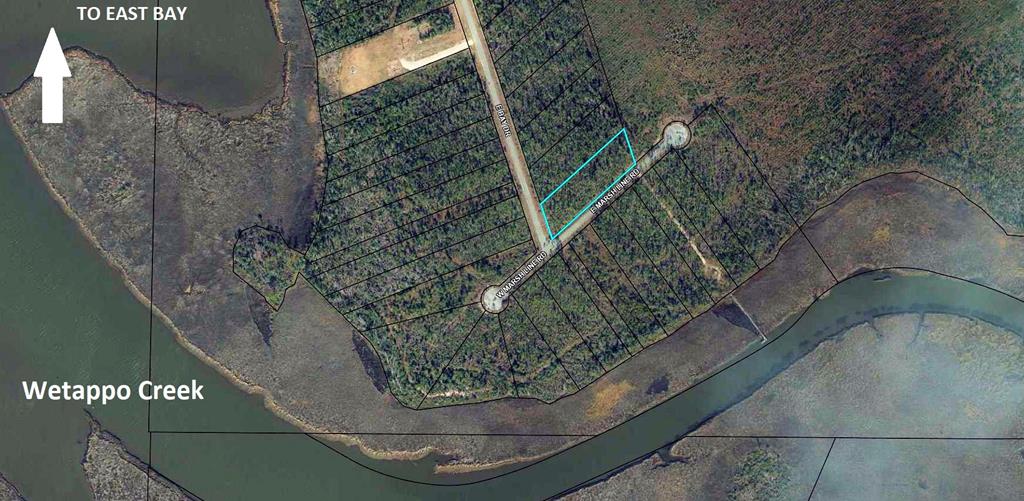 Lot 30 West Marsh Line Road, Unit LOT 30 Wewahitchka, FL 32465 - Photo 1 of 7