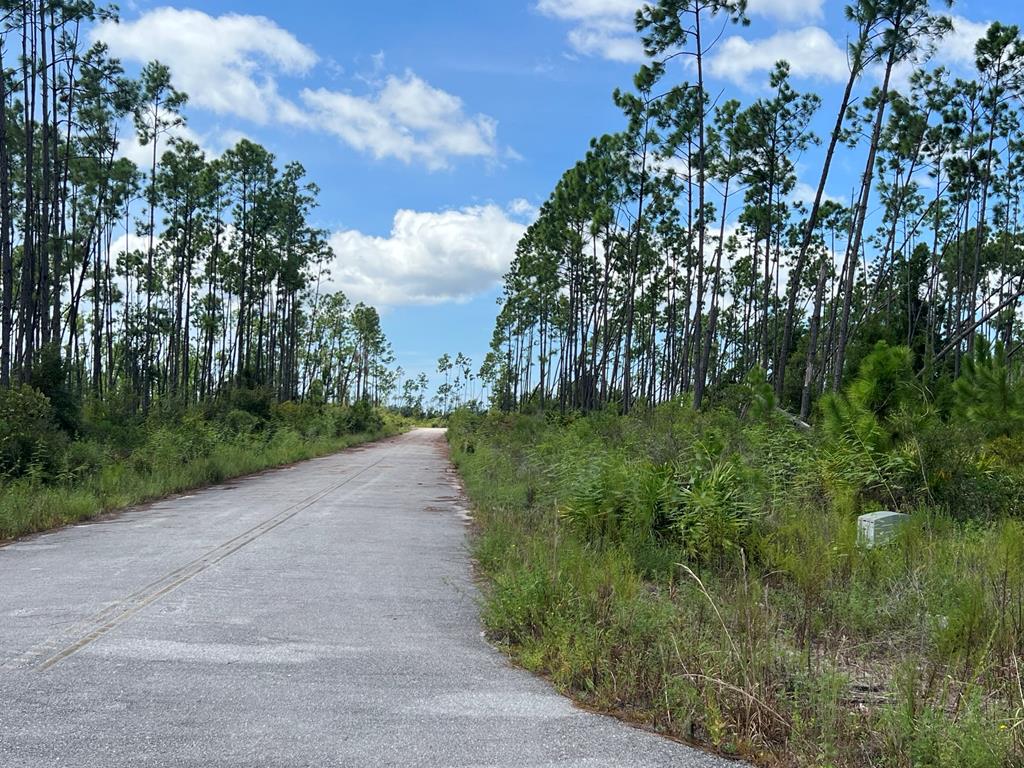 Lot 30 West Marsh Line Road, Unit LOT 30 Wewahitchka, FL 32465 - Photo 3 of 7