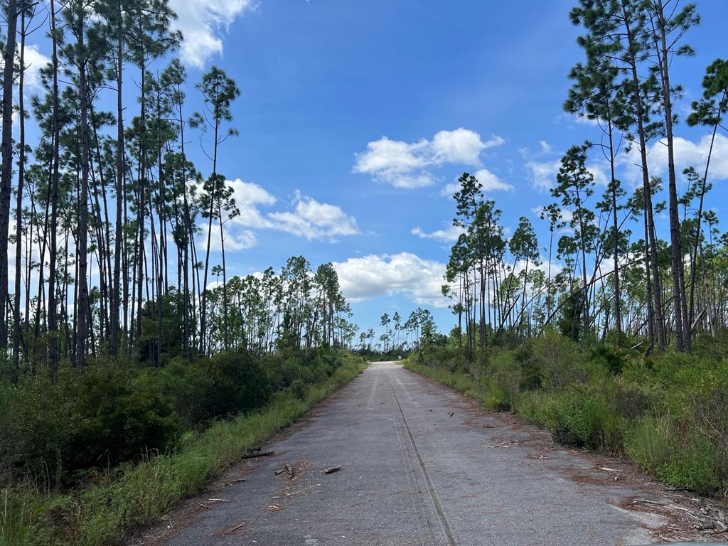Lot 30 West Marsh Line Road, Unit LOT 30 Wewahitchka, FL 32465 - Photo 6 of 7