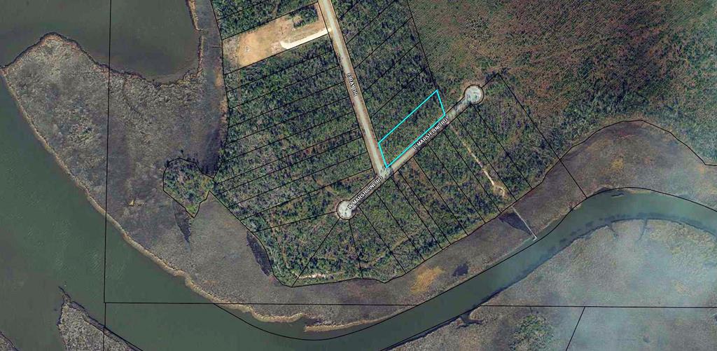 Lot 30 West Marsh Line Road, Unit LOT 30 Wewahitchka, FL 32465 - Photo 7 of 7