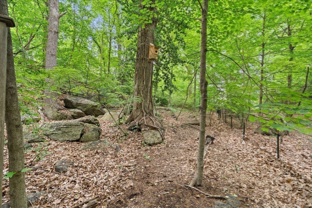 127 Allerton Road Milton, MA 02186 - Photo 35 of 42 Gallery Image 35