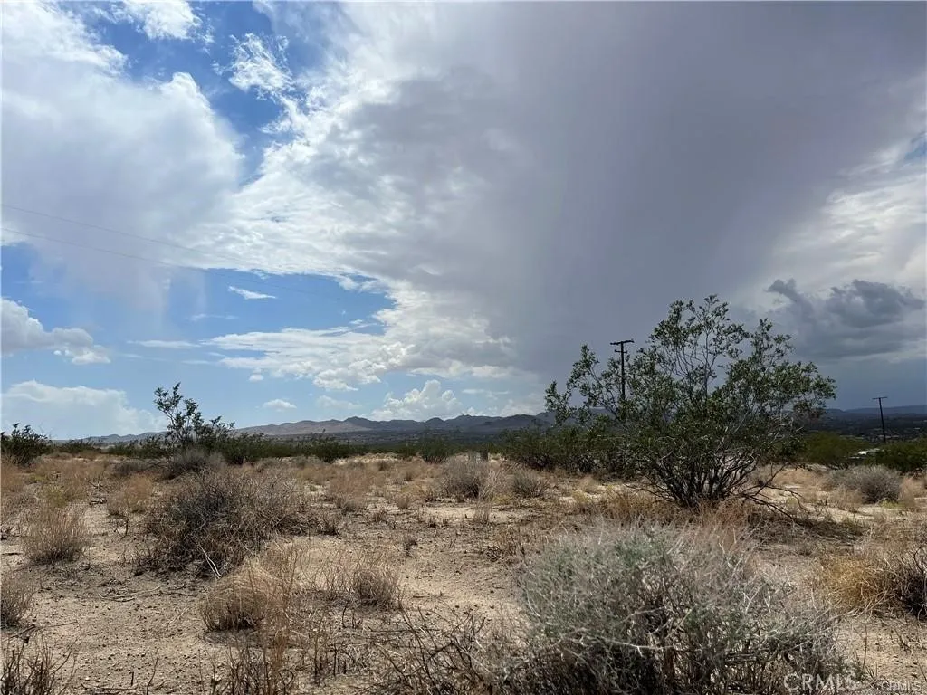 0 Bodick Road Landers, CA 92285 - Photo 1 of 1 a view of a dry yard with lots of trees