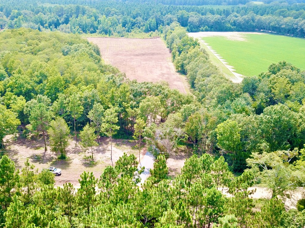 L1 New Hinson Road Slocomb, AL 36375 - Photo 10 of 30