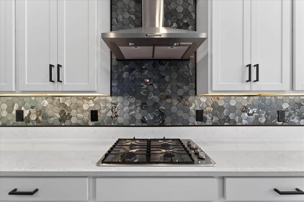 17173 Scuba Crest Street Wimauma, FL 33598 - Photo 68 of 100