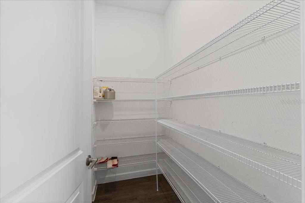 17173 Scuba Crest Street Wimauma, FL 33598 - Photo 73 of 100