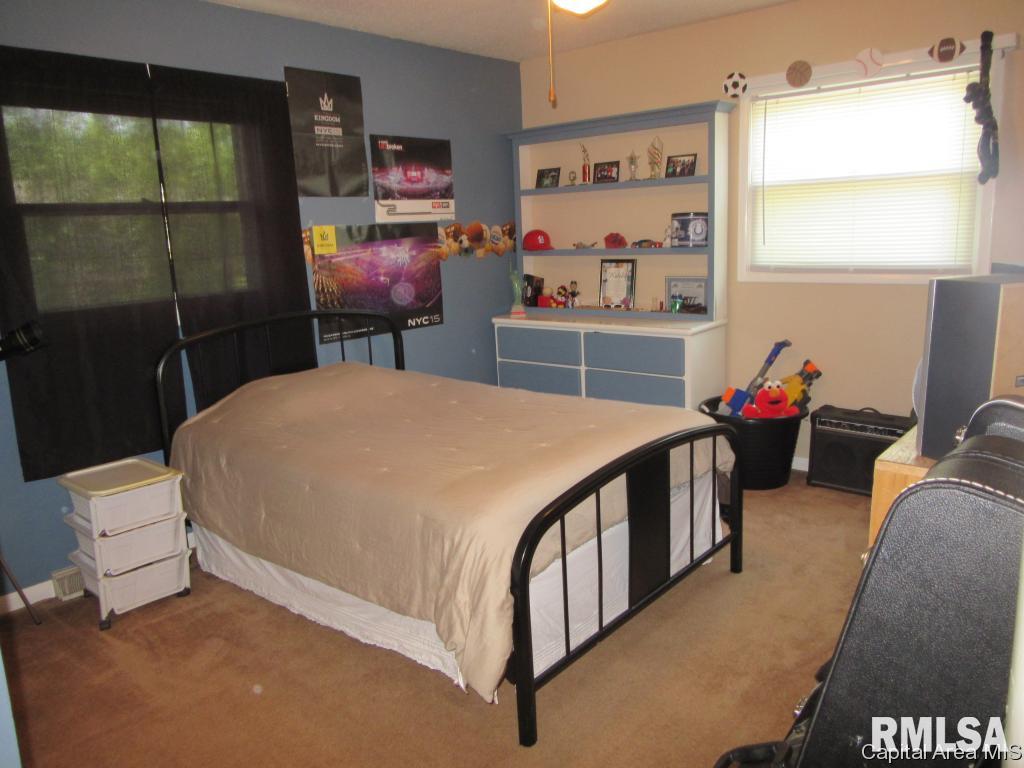 95 Mesa Road Springfield, IL 62702 - Photo 16 of 19