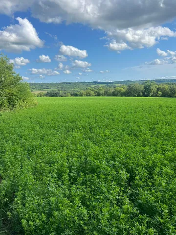 a view of an outdoor space and a yard