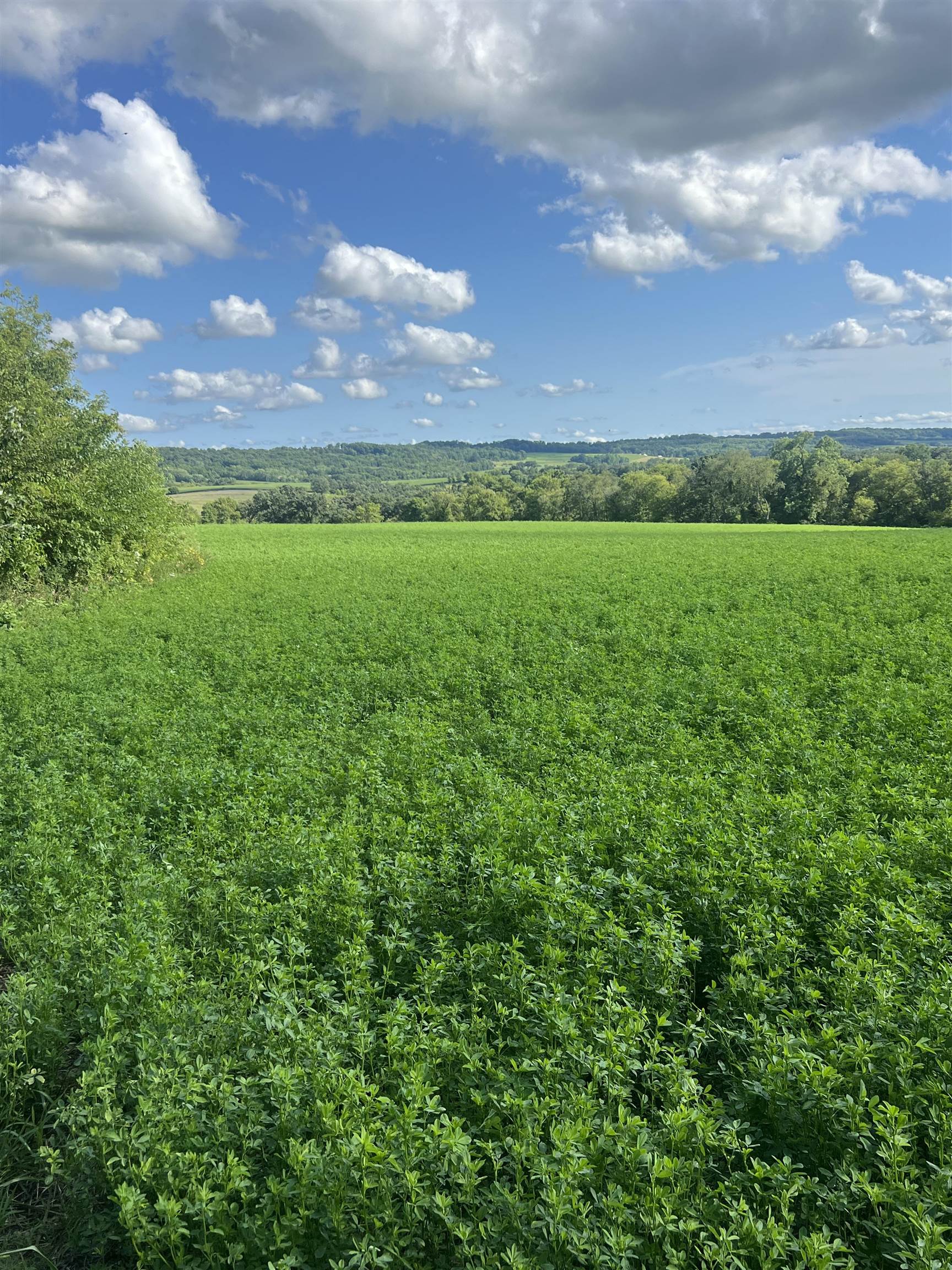 Rush Creek Road Stockton, IL 61085 - Photo 2 of 8 a view of an outdoor space and a yard