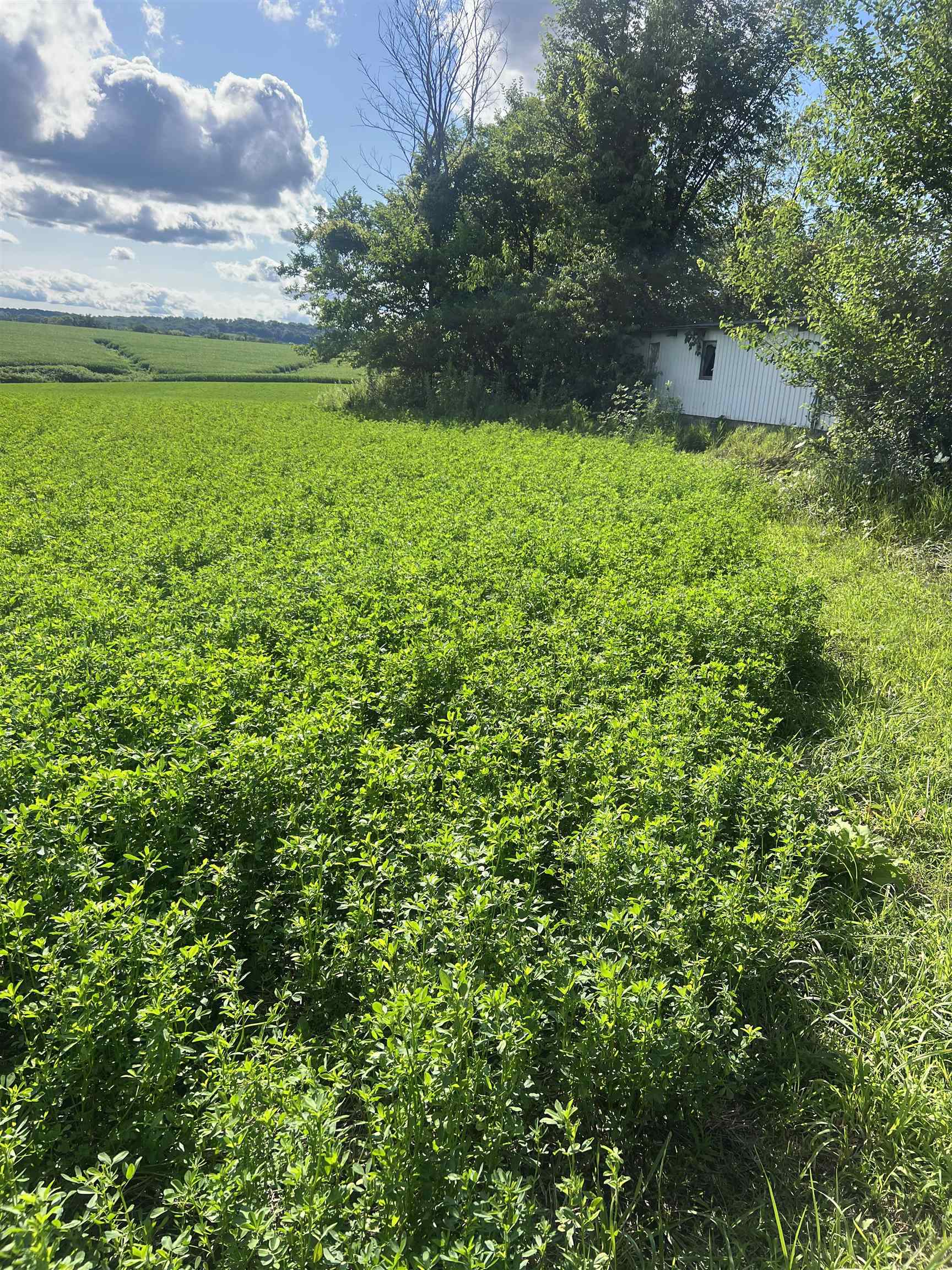 Rush Creek Road Stockton, IL 61085 - Photo 3 of 8 a view of outdoor space and yard