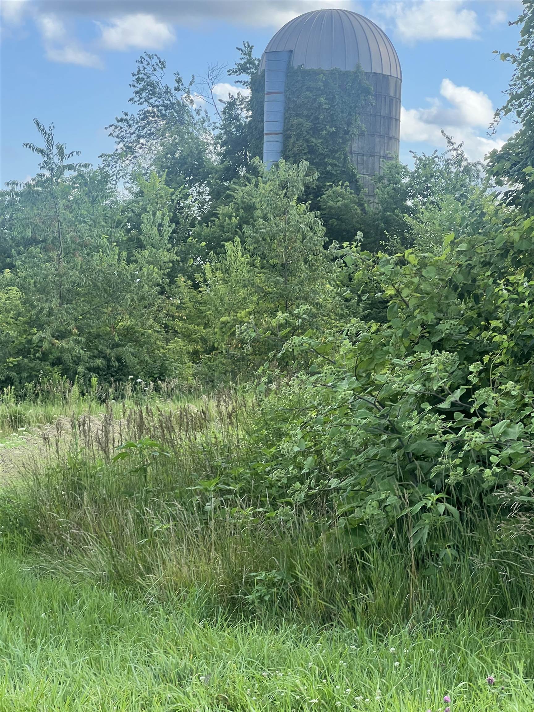 Rush Creek Road Stockton, IL 61085 - Photo 5 of 8 a view of a garden