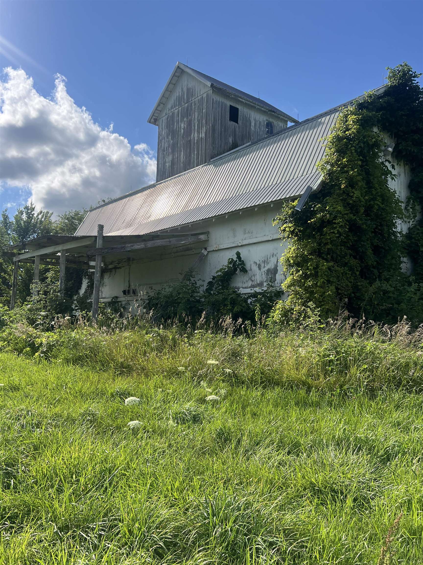 Rush Creek Road Stockton, IL 61085 - Photo 7 of 8 a backyard of a house with lots of green space