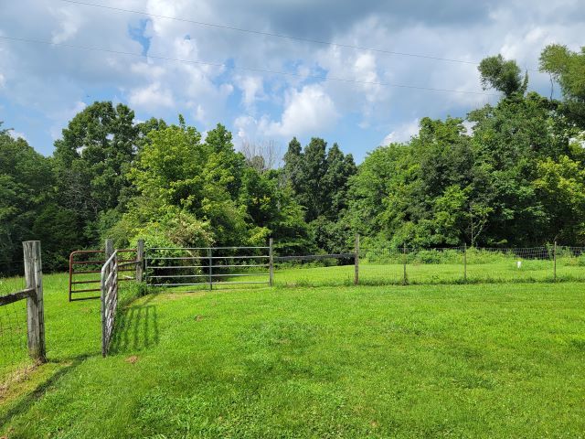 2035 Mt Hebron Road Makanda, IL 62958 - Photo 28 of 44