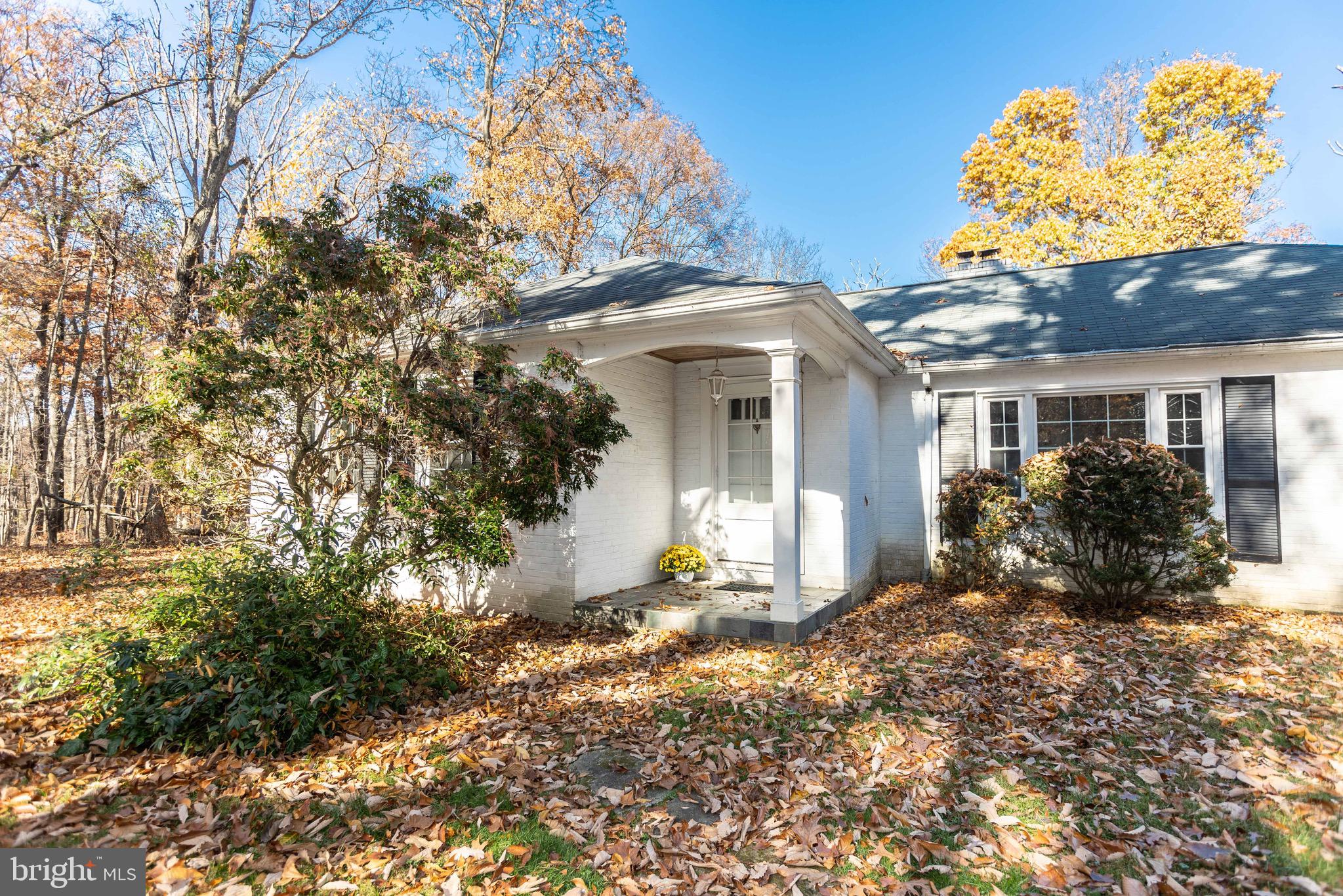 3204 Caves Road Owings Mills, MD 21117 - Photo 2 of 44 Covered front door