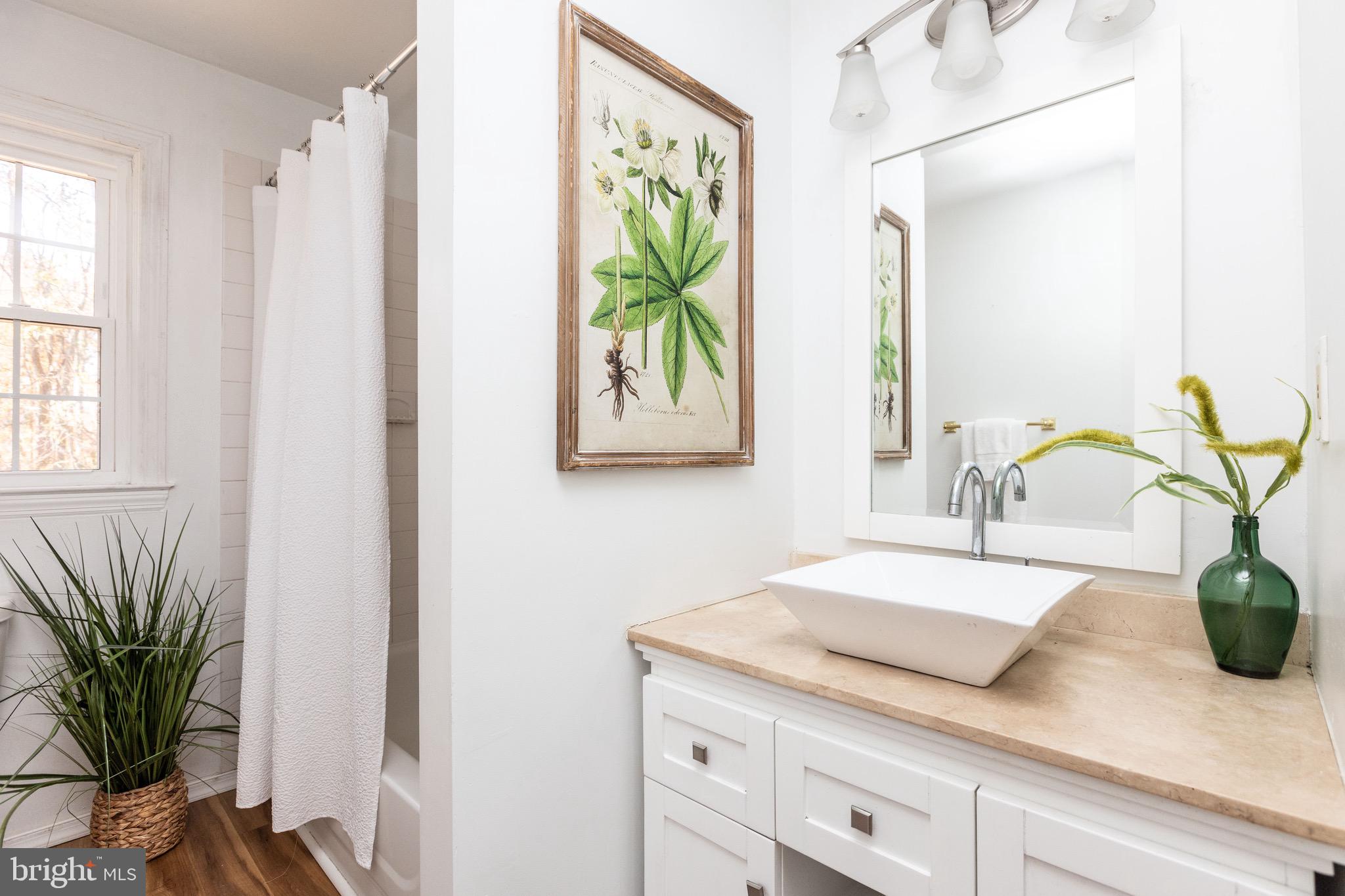3204 Caves Road Owings Mills, MD 21117 - Photo 22 of 44 Primary Bath with Architectural sink