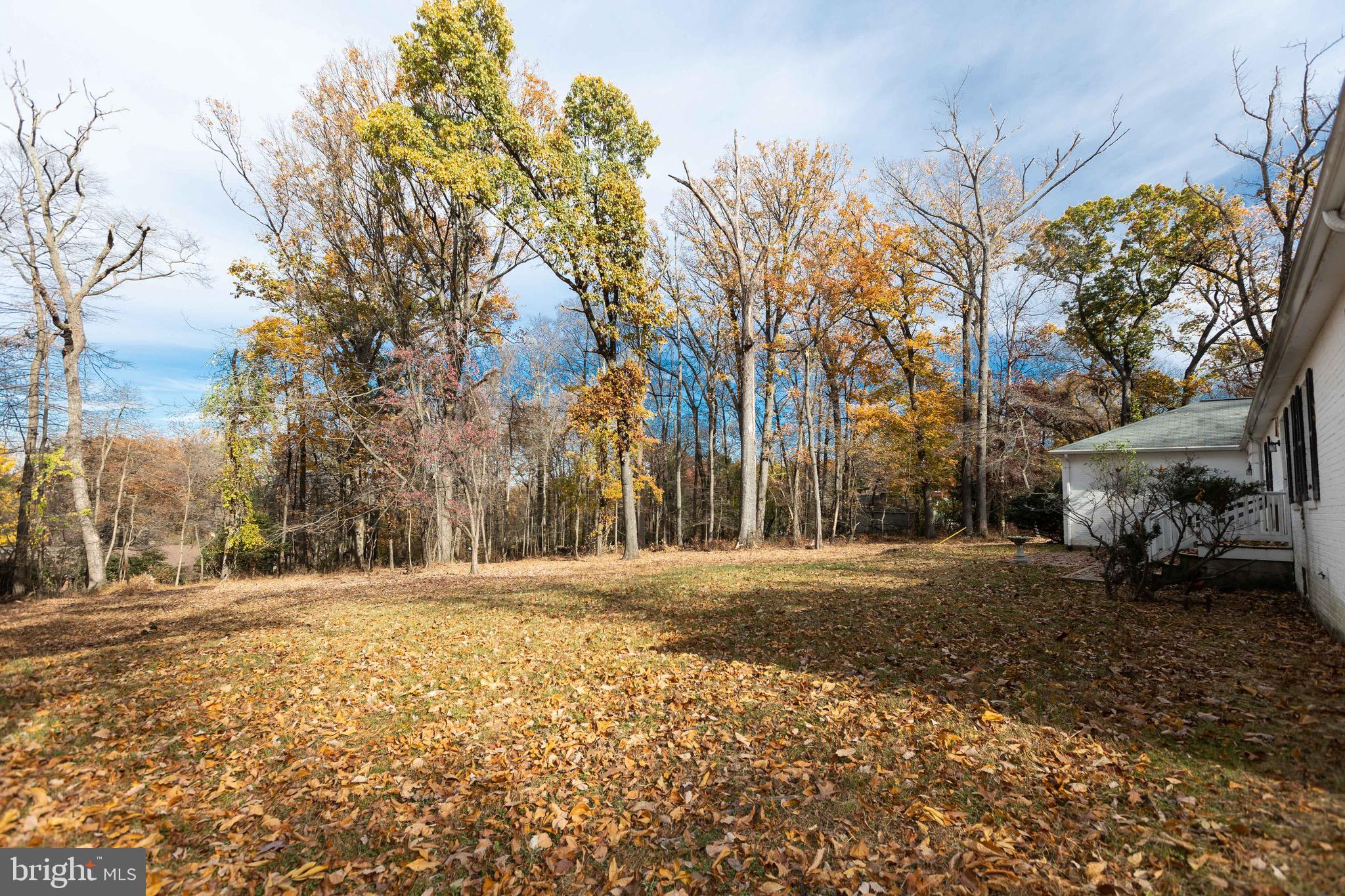 3204 Caves Road Owings Mills, MD 21117 - Photo 4 of 44 rear acreage & great view