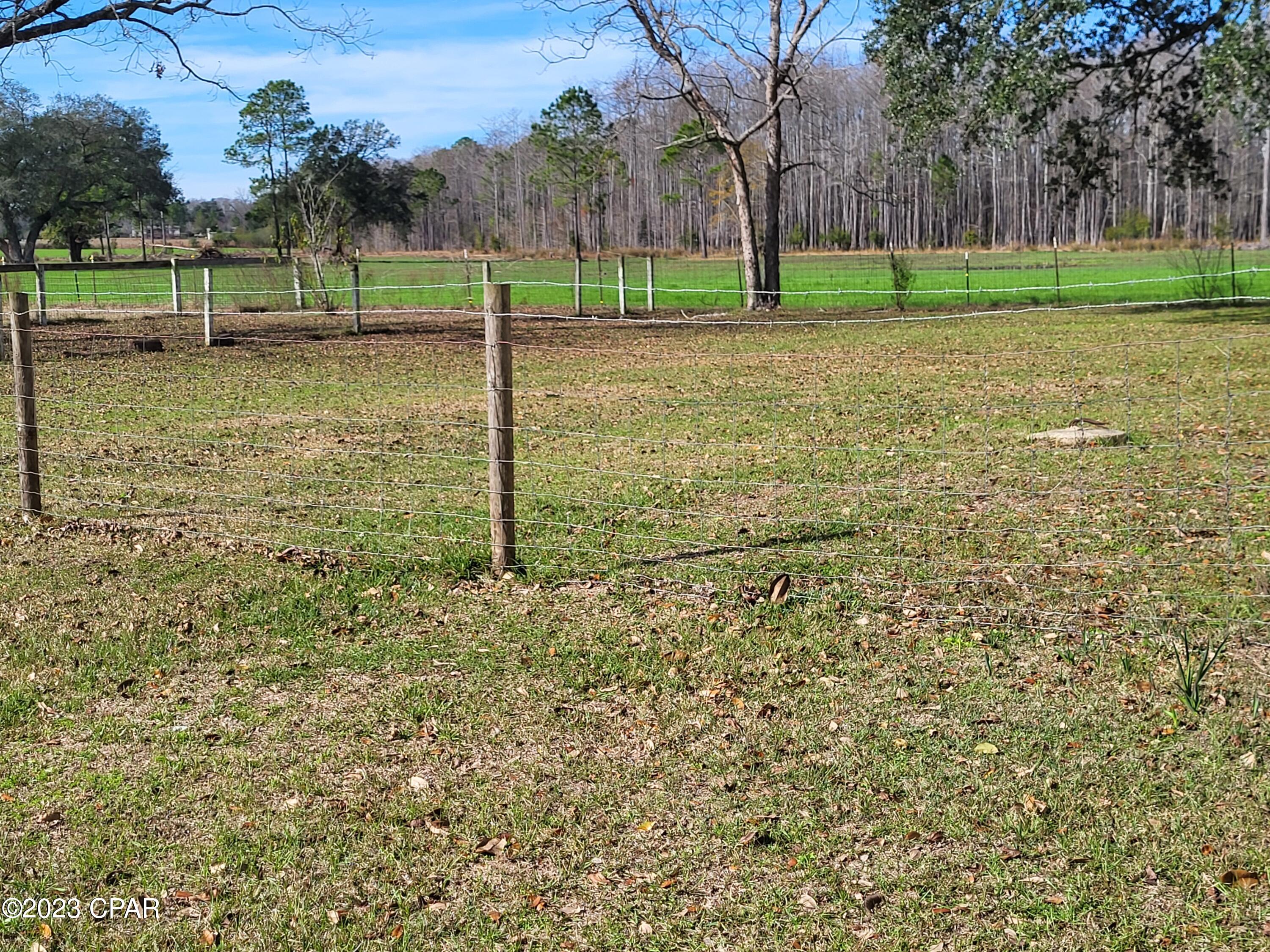4345 Peanut Road Cottondale, FL 32431 - Photo 28 of 50