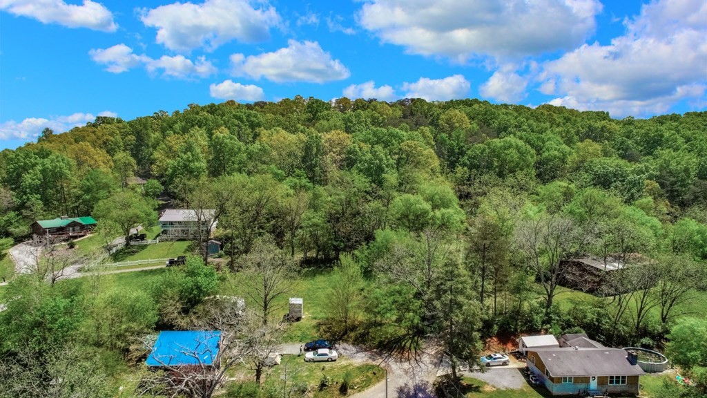 614 Morrell Springs Road Newport, TN 37821 - Photo 3 of 35 Gallery Image 3