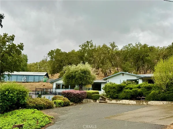 an outdoor space with lots of trees in the background